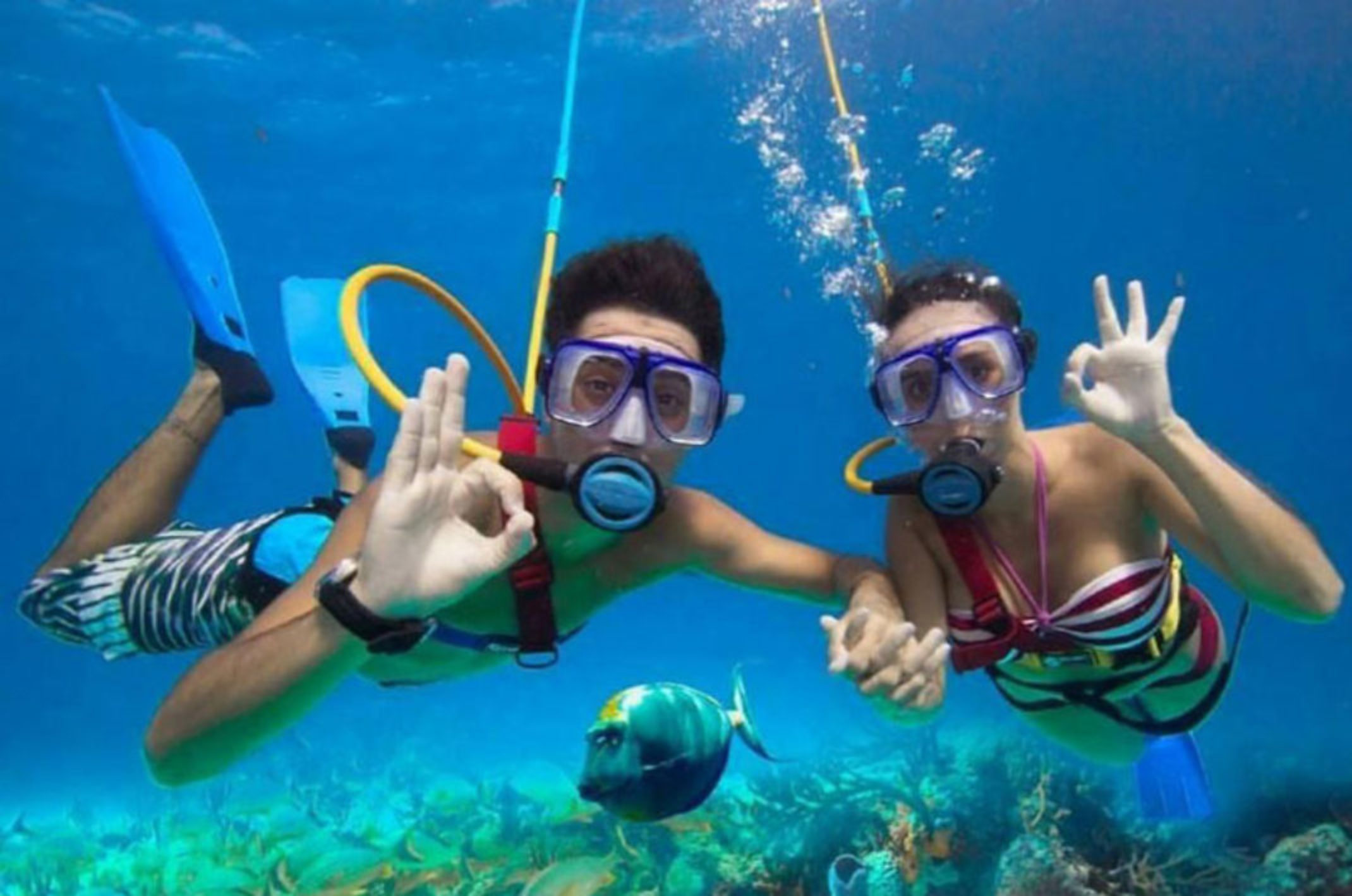 Activities - Watersports - Snorkel, Dive, Surf, Kayak, SUP - Best Of BVI